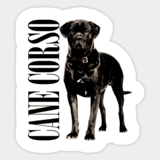 Cane Corso - Italian Mastiff Sticker